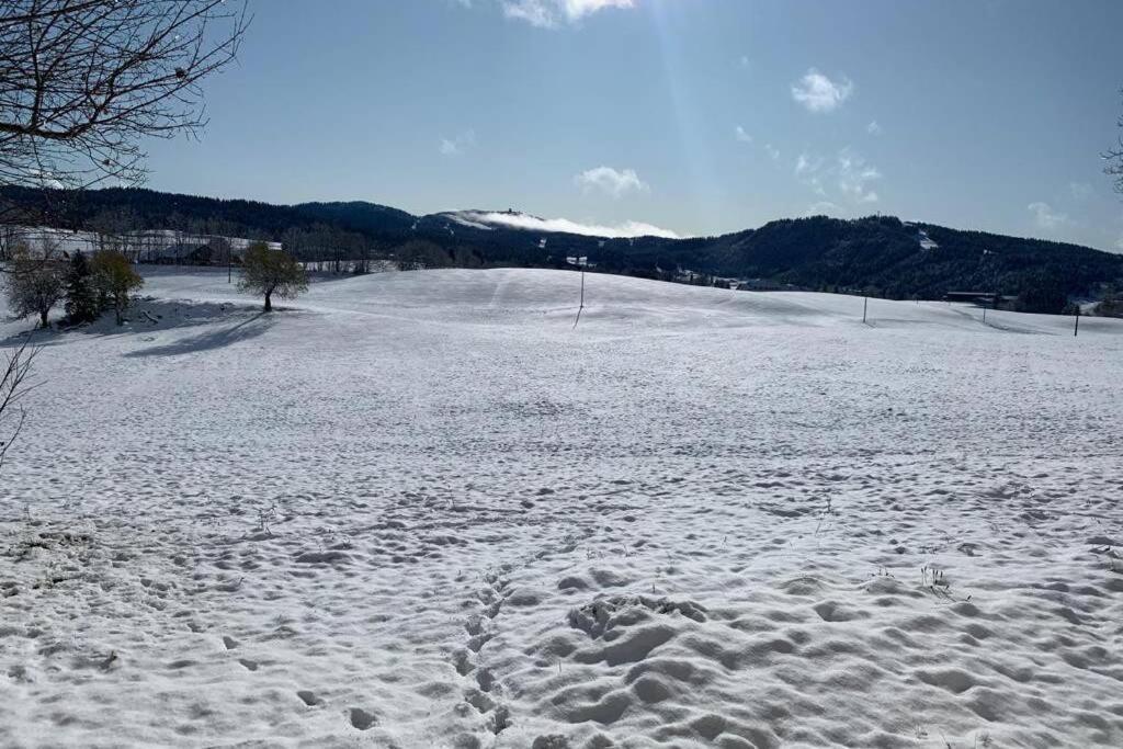 T2 Tout Confort, Depart Ski De Fond Depuis Le Jardin Apartment Les Rousses Luaran gambar