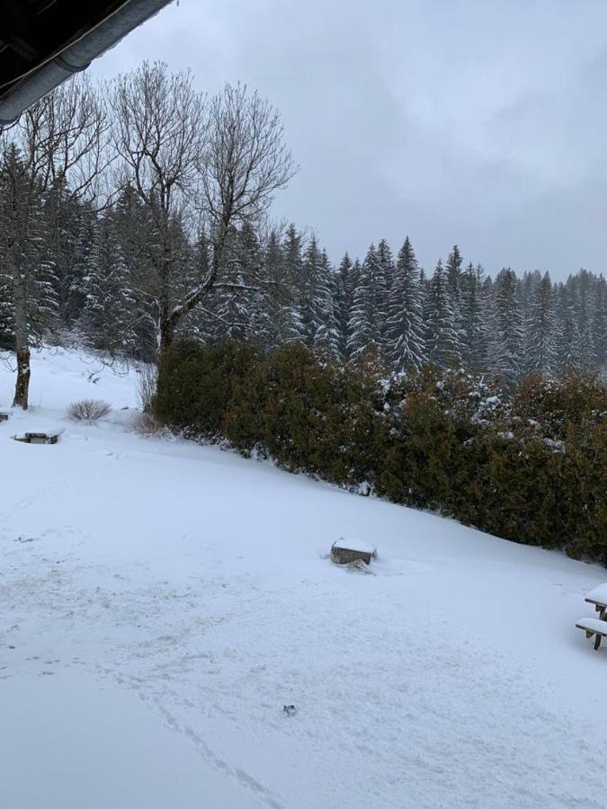 T2 Tout Confort, Depart Ski De Fond Depuis Le Jardin Apartment Les Rousses Luaran gambar